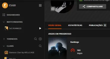 Conta Steam Lv 51 - Faceit 10 - Gc 20