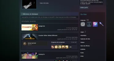 Conta Steam Lv 51 - Faceit 10 - Gc 20
