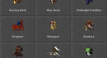 ED 210+ Belobra