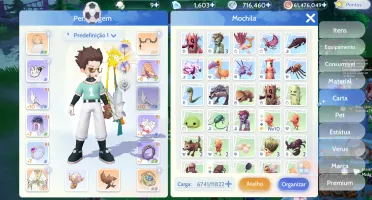 Sniper Ragnarok Origin 81/34 162k POWER,3 PETS S, PRONTERA 4