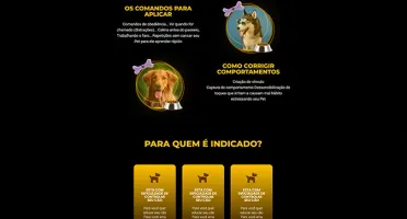 Venda mais com com páginas de alta performace