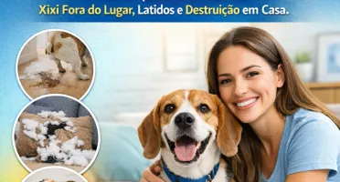 Seu Pet Educado Em 7 Dias