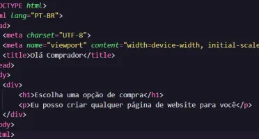 Desenvolvedor FRONT-END (Crio qualquer página para você)