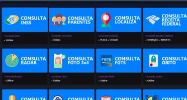 PAINEL CONSULTA DADOS! #TOP 1 ( PLANO DIÁRIO )