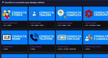 PAINEL CONSULTA DADOS! #TOP 1 ( PLANO DIÁRIO )