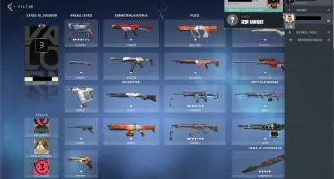Conta Valorant 514 reais investidos (butterfly, sublime,etc)