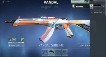 Conta Valorant 514 reais investidos (butterfly, sublime,etc)