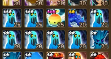 CONTA SW GLOBAL, C1+, 28NAT5 (tirando fusão)