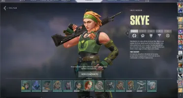 CONTA COM VÁRIAS SKINS