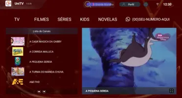 Script Painel + APK (estilo UniTV )login via Mac
