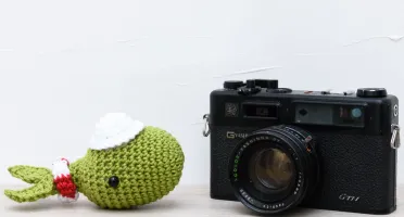 Mini Baleia Verde com Chapéu em Amigurumi