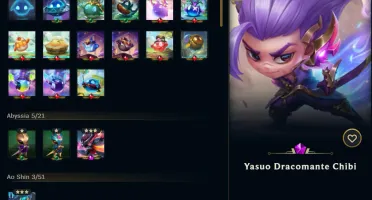 Conta league of legends/valorant/tft 1487 skins 2011 lvl 457