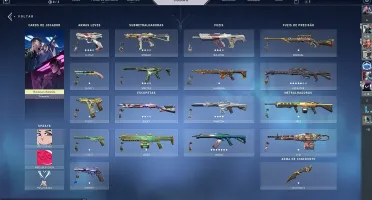 CONTA DE VALORANT skins brabas