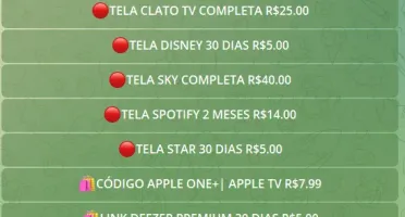 Revenda Netfflix-Spotify-Seguidores Etc 8 Paineis 9 Bots