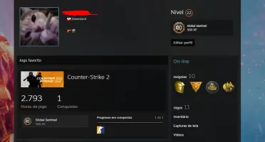 Conta Cs2 - 12 Medalhas