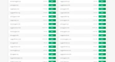 🚀 SaaS de Ferramentas de Domínio e IP com Recursos Avançado