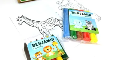 Kit Colorir e Modelar Safari com Sacola Kraft
