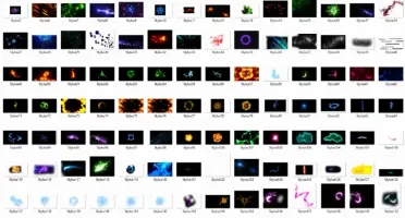 Pacote Para Photoshop┃ After Effects ┃Social Midia┃ Gfx┃ Can