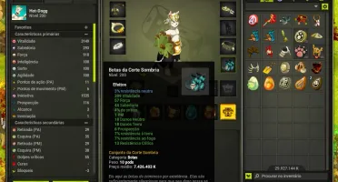 Conta Dofus 200