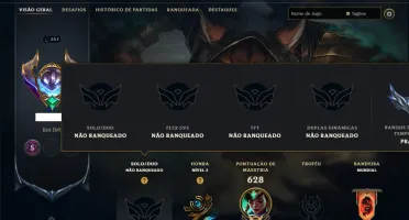 Unranked com TODOS os Champs e 124 Skins ( ADC / SUP / JG )