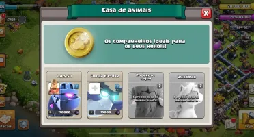 CV 14 recém upado barato conta muito boa
