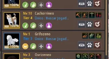 Sorc 606 gs com bussola