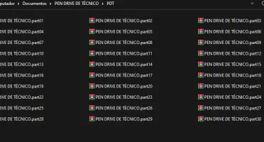 Pen drive multiboot para técnico (O melhor da DFG)
