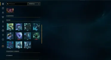 CONTA COM 236 SKINS