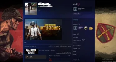 Conta steam avaliada em 1100 dólares