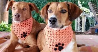 Bandana Pet em Crochê