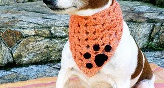 Bandana Pet em Crochê