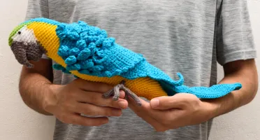 Arara Canindé em Amigurumi