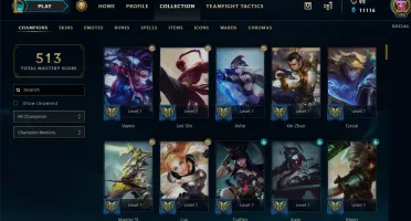 CC LOL 382 SKINS