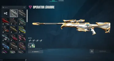 Conta ascendente 1 com muitas skins por 500 reais