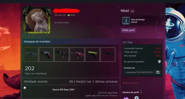 Conta Steam Level 13