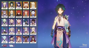 Conta 8x5* personagens + 2x5* armas + constelações e benção