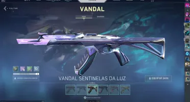 Conta de valorant , pacote rgx completo (+ skins)