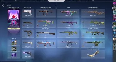Conta de valorant , pacote rgx completo (+ skins)