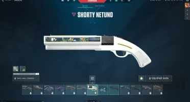 Conta de Valorant Platina