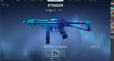 Valorant Conta - MUITAS SKINS
