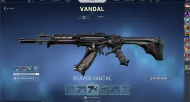Valorant Conta - MUITAS SKINS