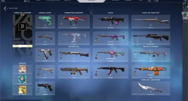 Conta valorant BETA skins + 4 passes