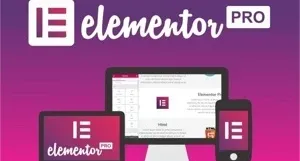 Elementor Pro Wordpress Page Builder (Vitalício)