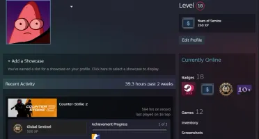 Conta Steam Nível 18 C/ Diversos Jogos + Medalha de 5 anos