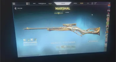 Conta Valorant!!!Muitas Skins...Vendo Barato
