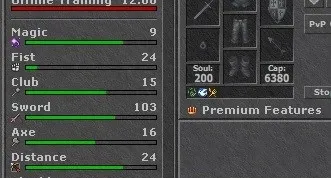KNIGHT LEVEL 251