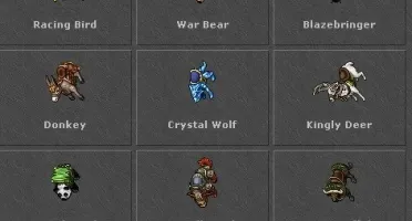 KNIGHT LEVEL 251