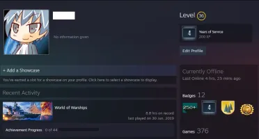 Conta Steam /Nível 36 /4 Anos/300+ Jogos/Sem VAC/Trade Ban