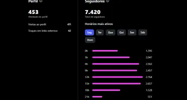 Conta Instagram seguidores reais 7k