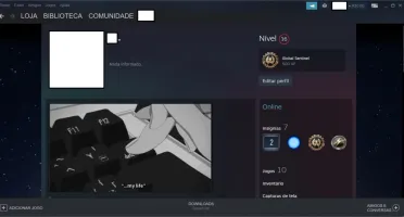 CONTA CSGO ÁGUIA, LEVEL 19 GC, 630 HORAS e 2 MEDALHAS. PRIME